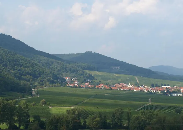 アパート Mengelberg *