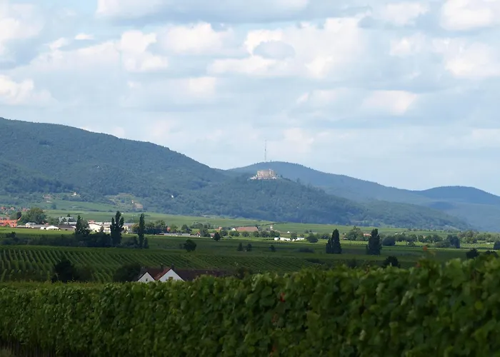 アパート Mengelberg *