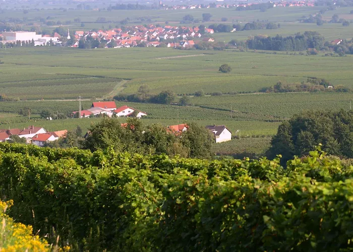 アパート Mengelberg